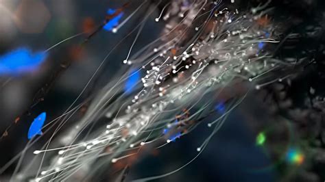 Guide to X-Particles Need to take a real deep dive into X-Particles. . Install x particles cinema 4d r25